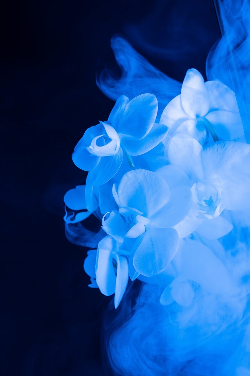 Floral Fantasy